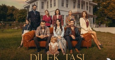 serie turca dilek tasi